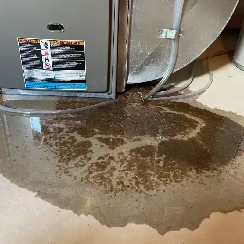 Appliance Leak Cleanup in Bel-Nor, MO